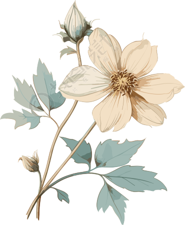 天空蓝色白花插画设计元素