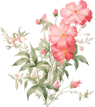小清新风格的粉色鲜花素材