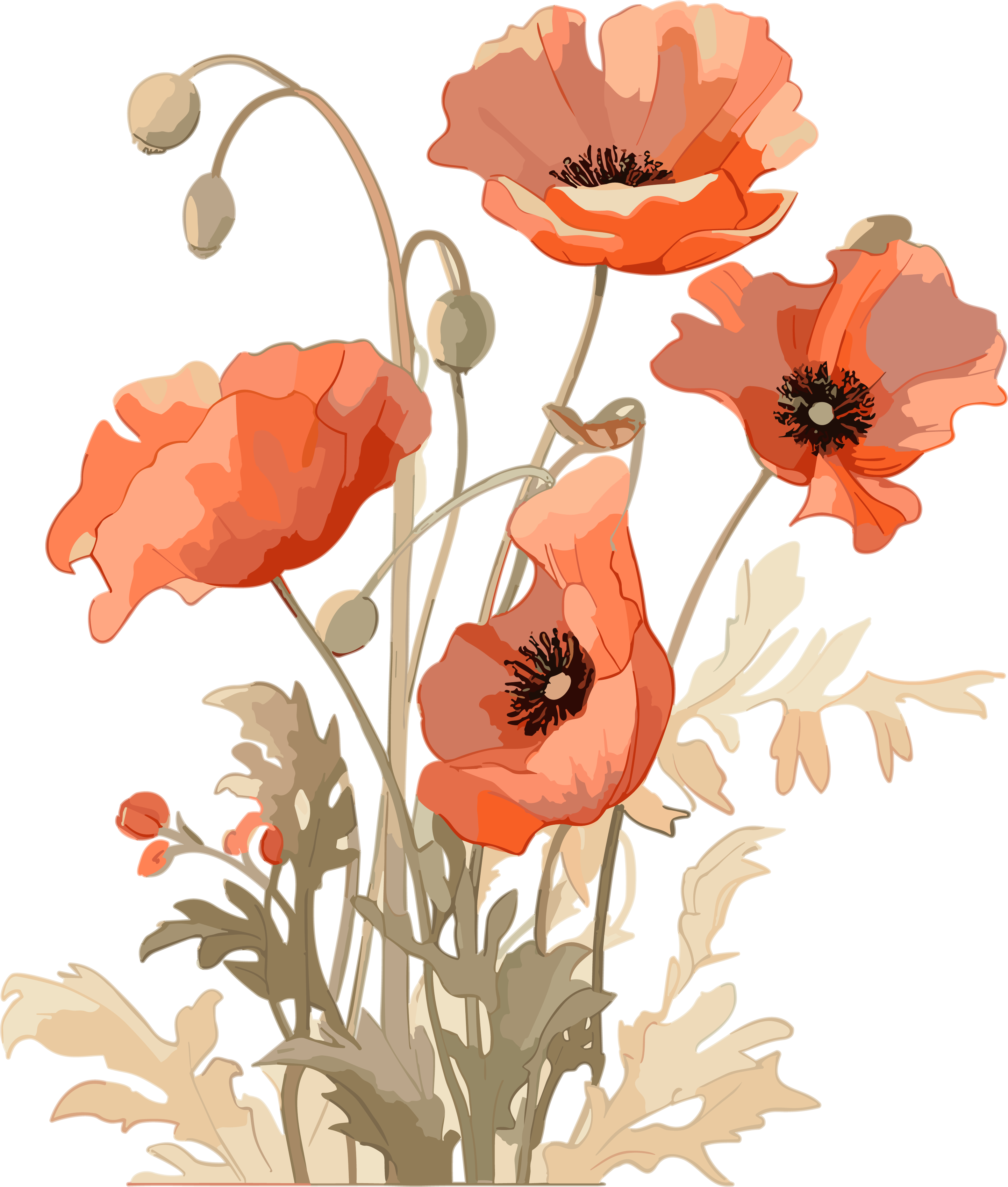 浅橙和深米色风格的鲜花插图
