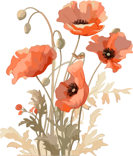 浅橙和深米色风格的鲜花插图
