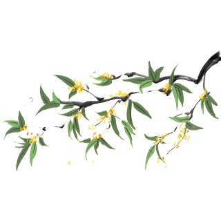 秋分时节花枝元素