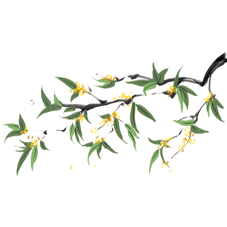 秋分时节花枝元素