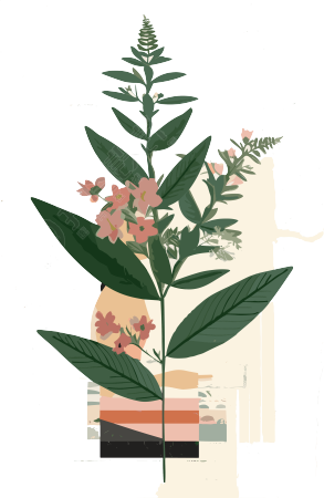 复古风叶子植物插画元素