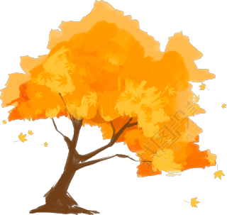 手绘秋季枫树透明背景插画素材
