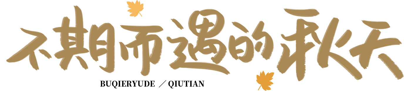 不期而遇的秋天