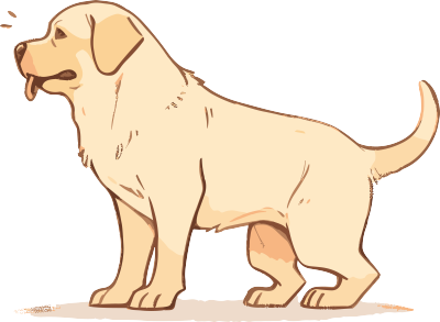 浅棕色拉布拉多商用插画