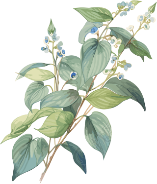 蓝色小花透明背景高清PNG插画