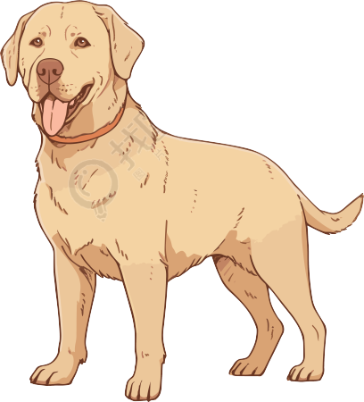 浅棕色和金色拉布拉多犬插画素材