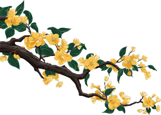 金色琥珀树枝花叶PNG图形素材