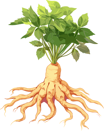 白棕色细致插画根茎植物和叶子素材