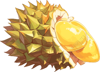 高清透明背景榴莲插画PNG