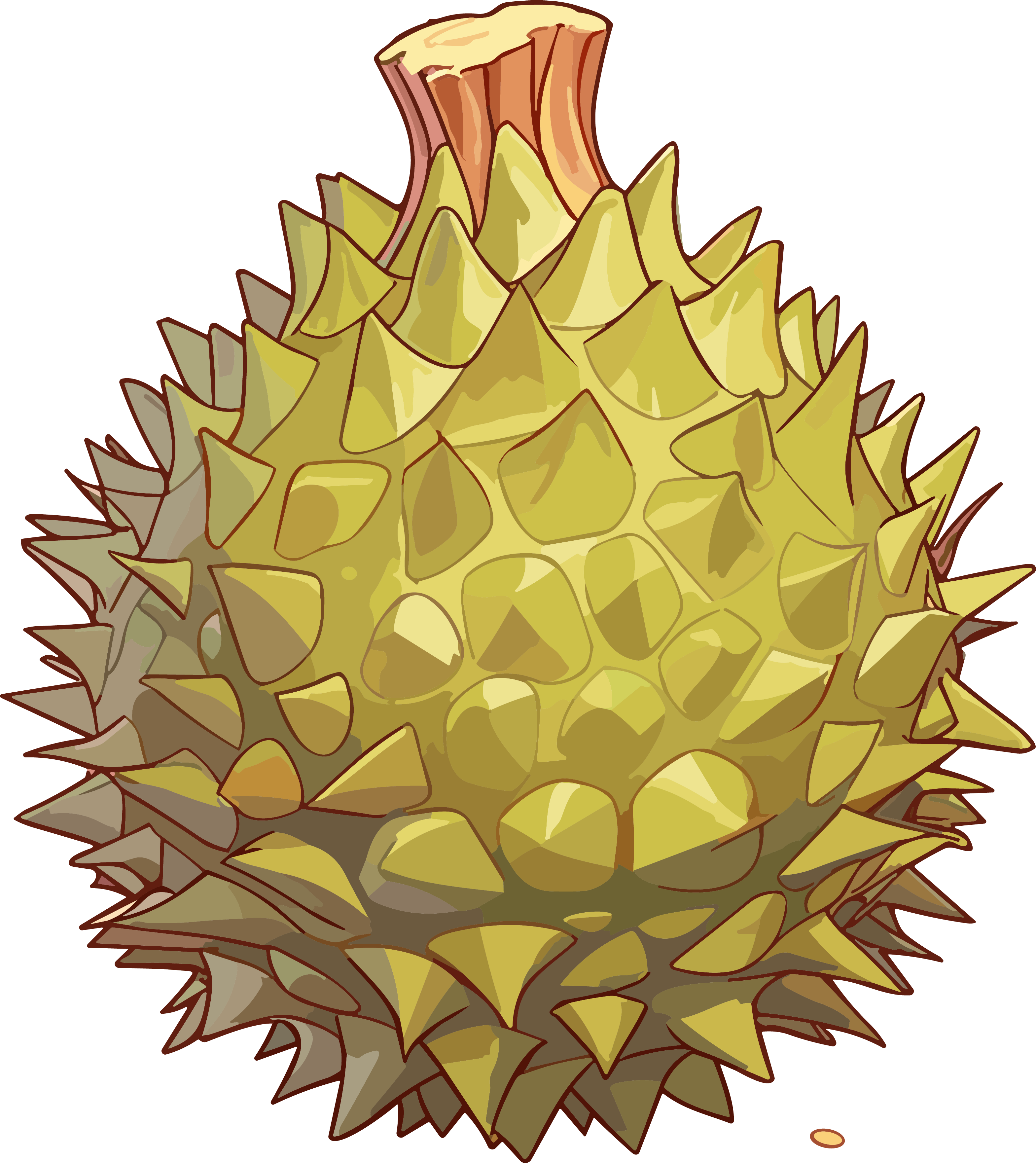 商业可用的榴莲PNG插画素材