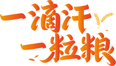 一滴汗一粒粮