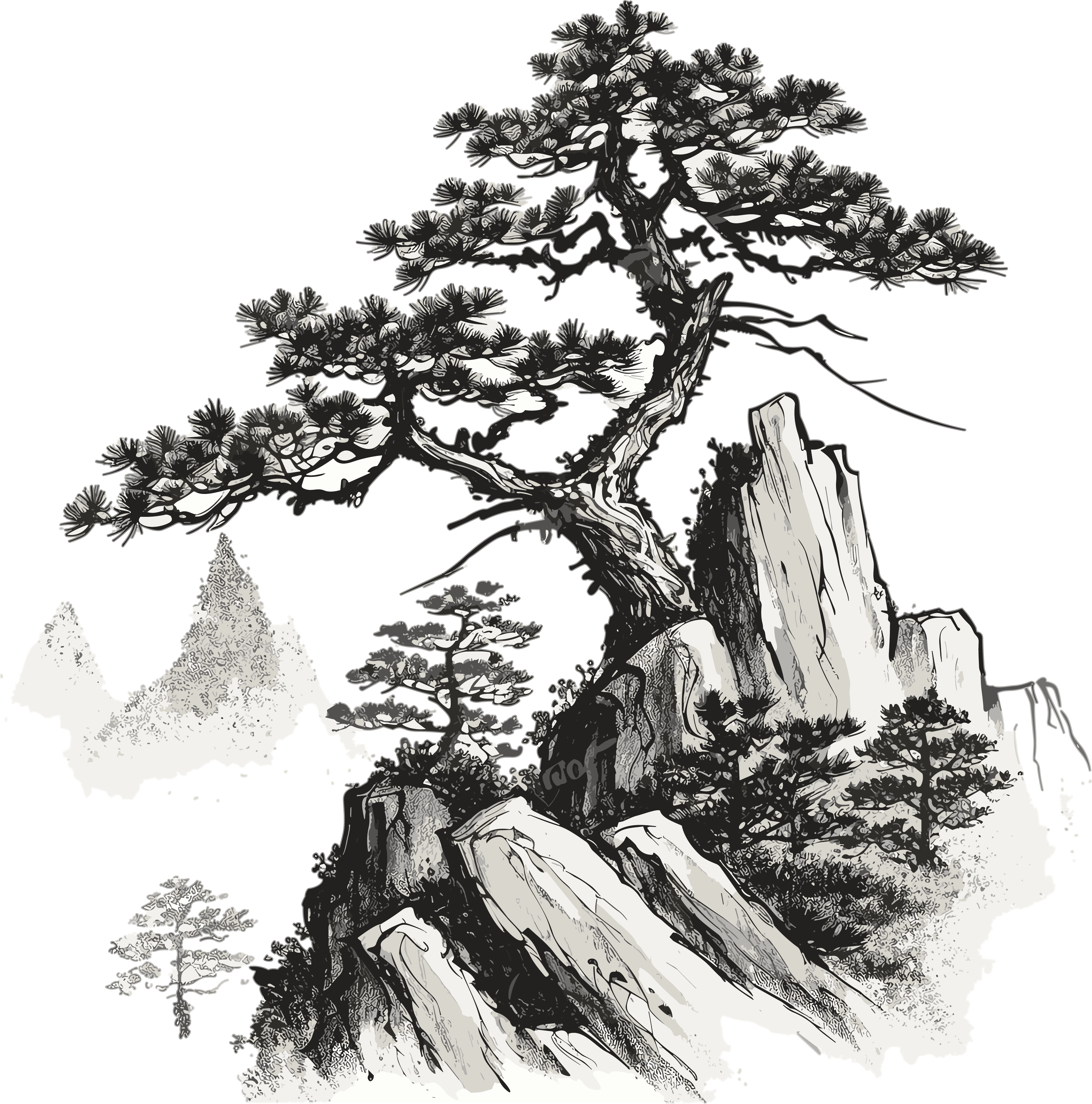 唯美高山上的松树插图