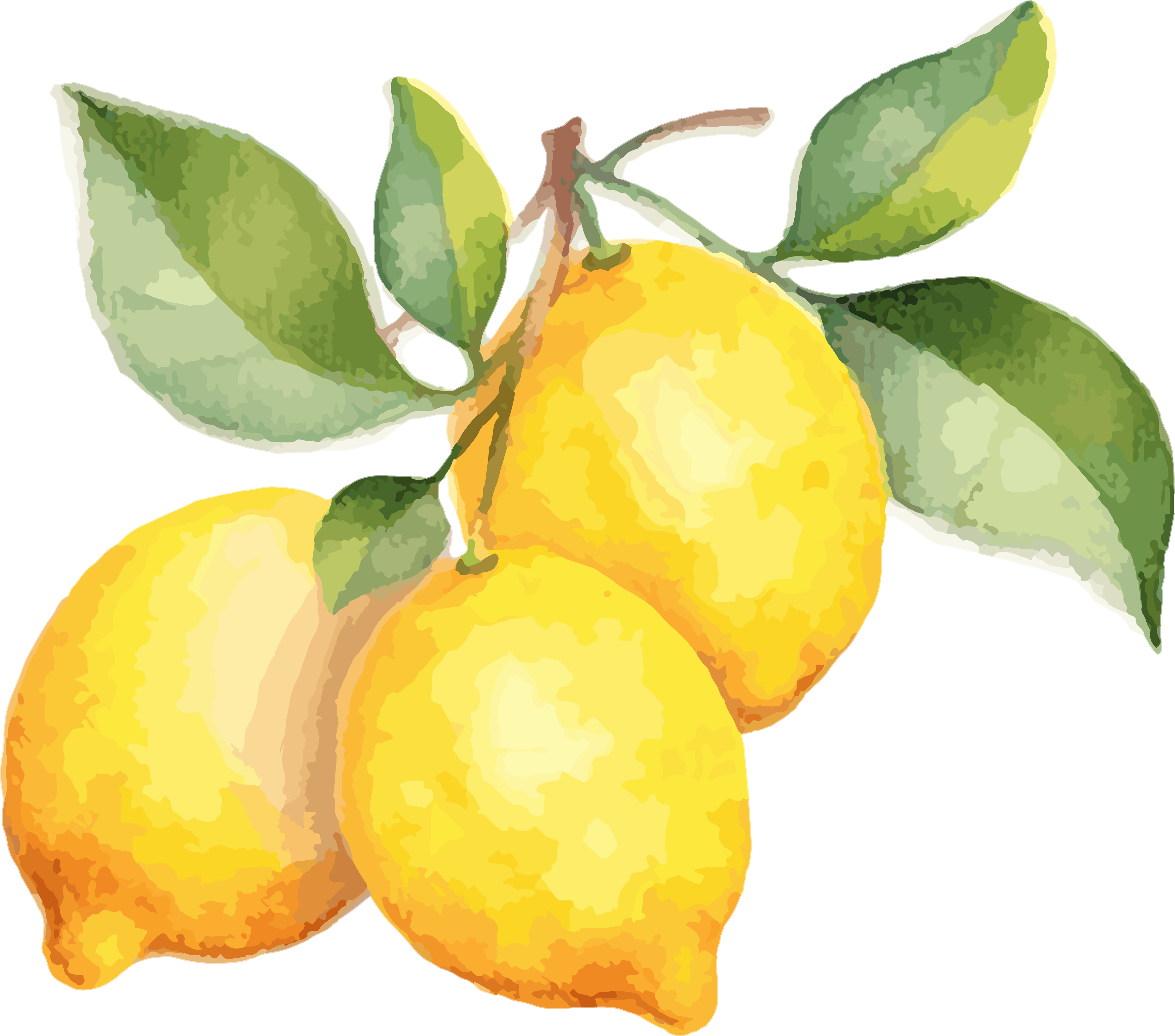 黄色柠檬水彩插画素材