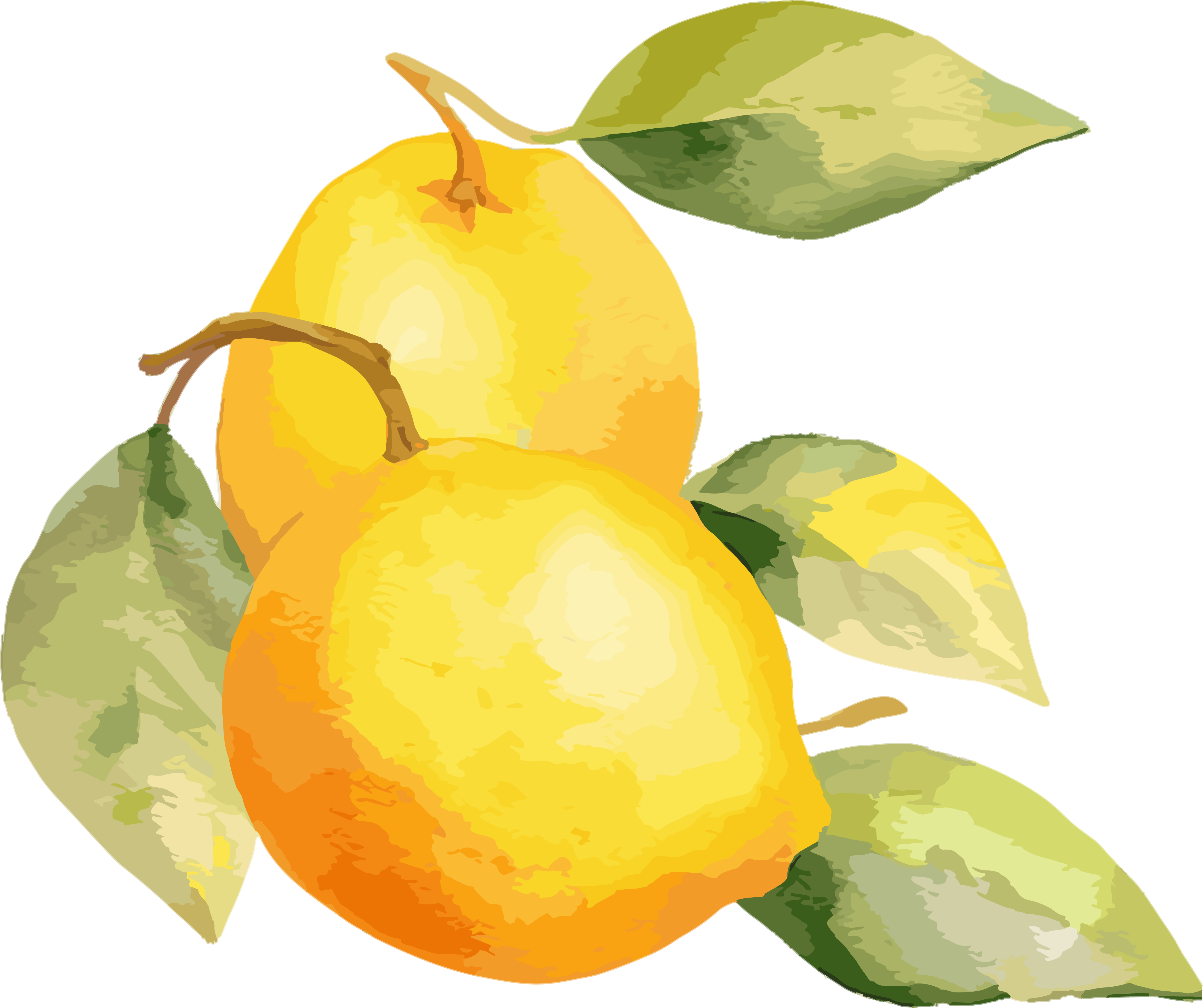 透明背景水彩柠檬插画