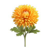3D卡通白底黄色菊花插画设计