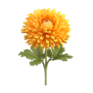 3D卡通白底黄色菊花插画设计