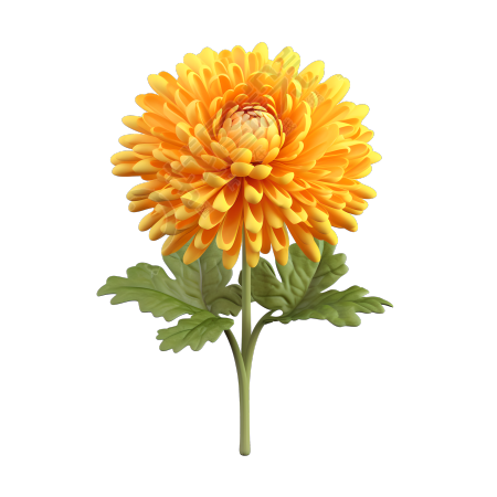 3D卡通白底黄色菊花插画设计