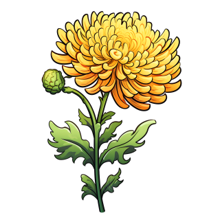 黄色菊花透明背景插画
