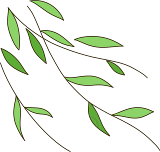 手绘小清新风格的柳叶插画