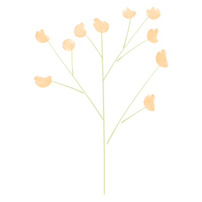 简约花朵枝干装饰插画