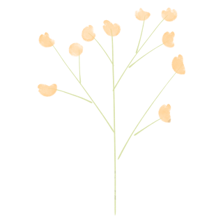 简约花朵枝干装饰插画