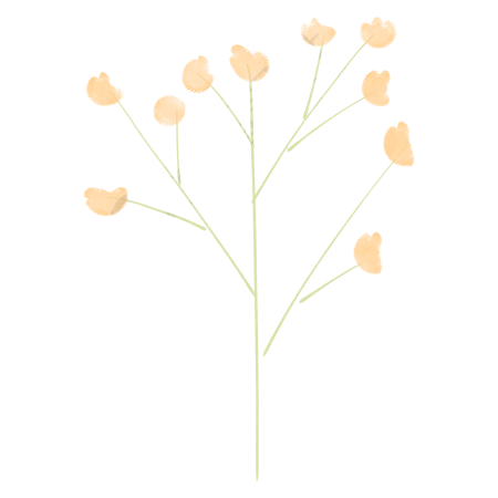 简约花朵枝干装饰插画
