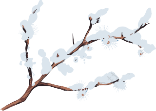 大雪中的树枝冬季元素