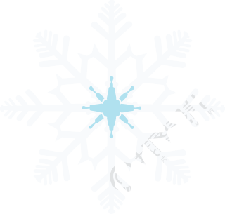 手绘雪花扁平插画