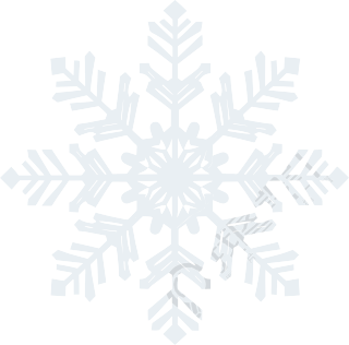 透明背景白色雪花素材