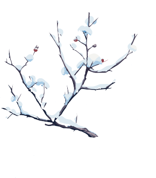 树枝和积雪透明背景素材