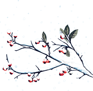 冬季元素雪中红浆果插画