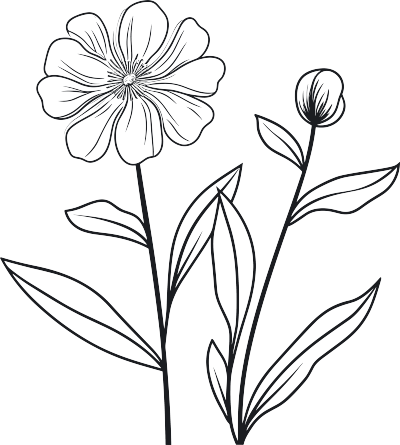 极简风黑白手绘线条花卉叶子素描插画