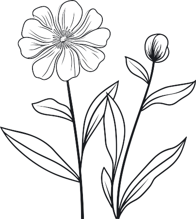 极简风黑白手绘线条花卉叶子素描插画