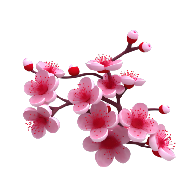 白色底面柔和照明梅花枝插画