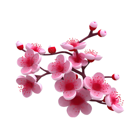 白色底面柔和照明梅花枝插画