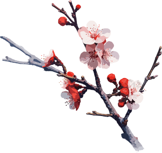 冬季梅花平面插画