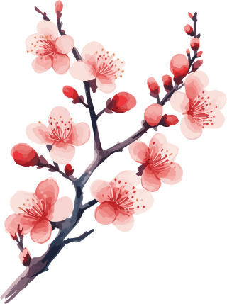 可商用冬天梅花扁平插画设计