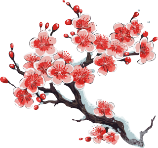透明背景设计冬季梅花插画