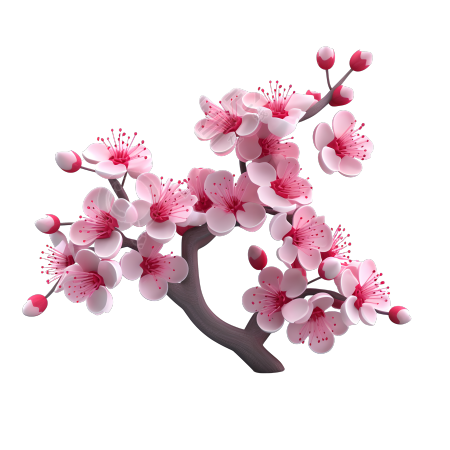 柔和粉彩3D梅花枝PNG图元素素材