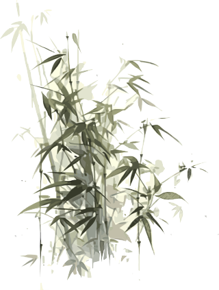 传统工笔画简约竹叶插画