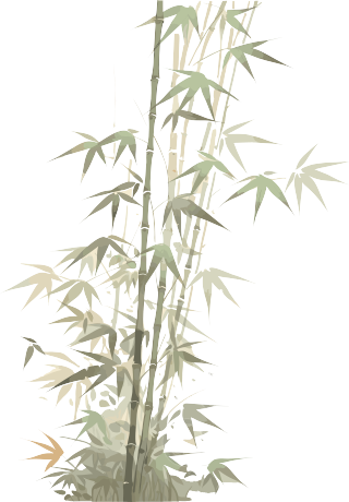 中式传统工笔画竹子商业可用插画