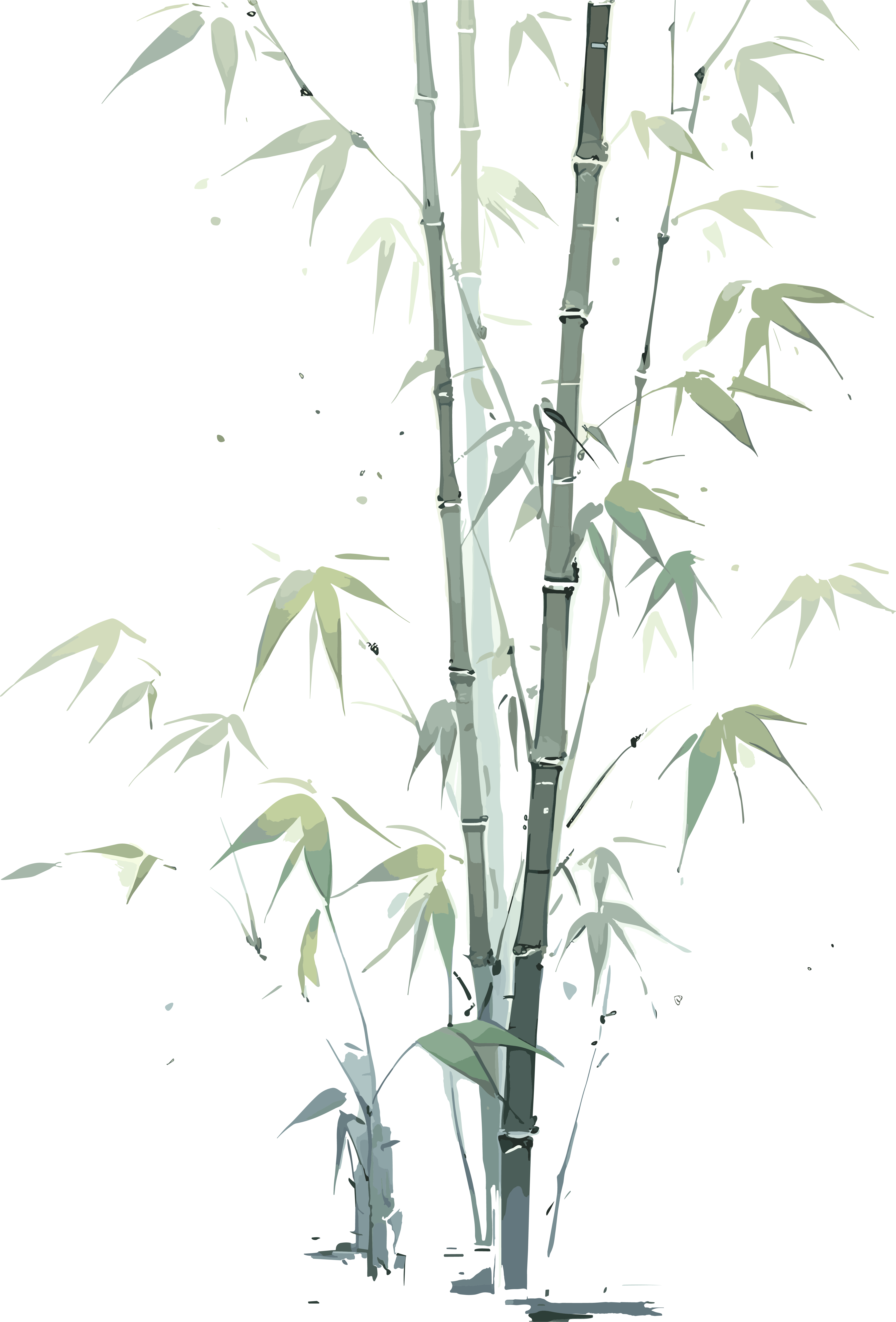 传统工笔画竹子PNG元素