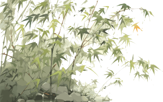 传统工笔画一大片竹林插画