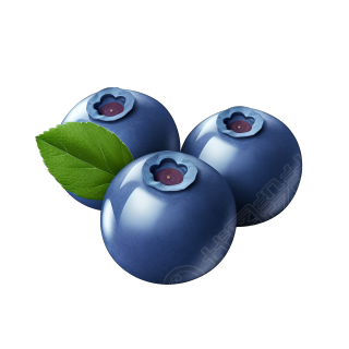 3D水果蓝莓卡通素材