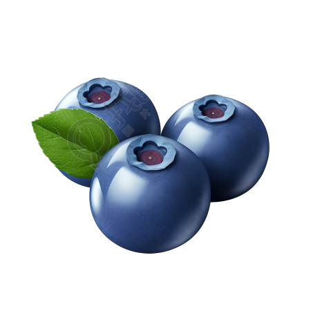 3D水果蓝莓卡通素材