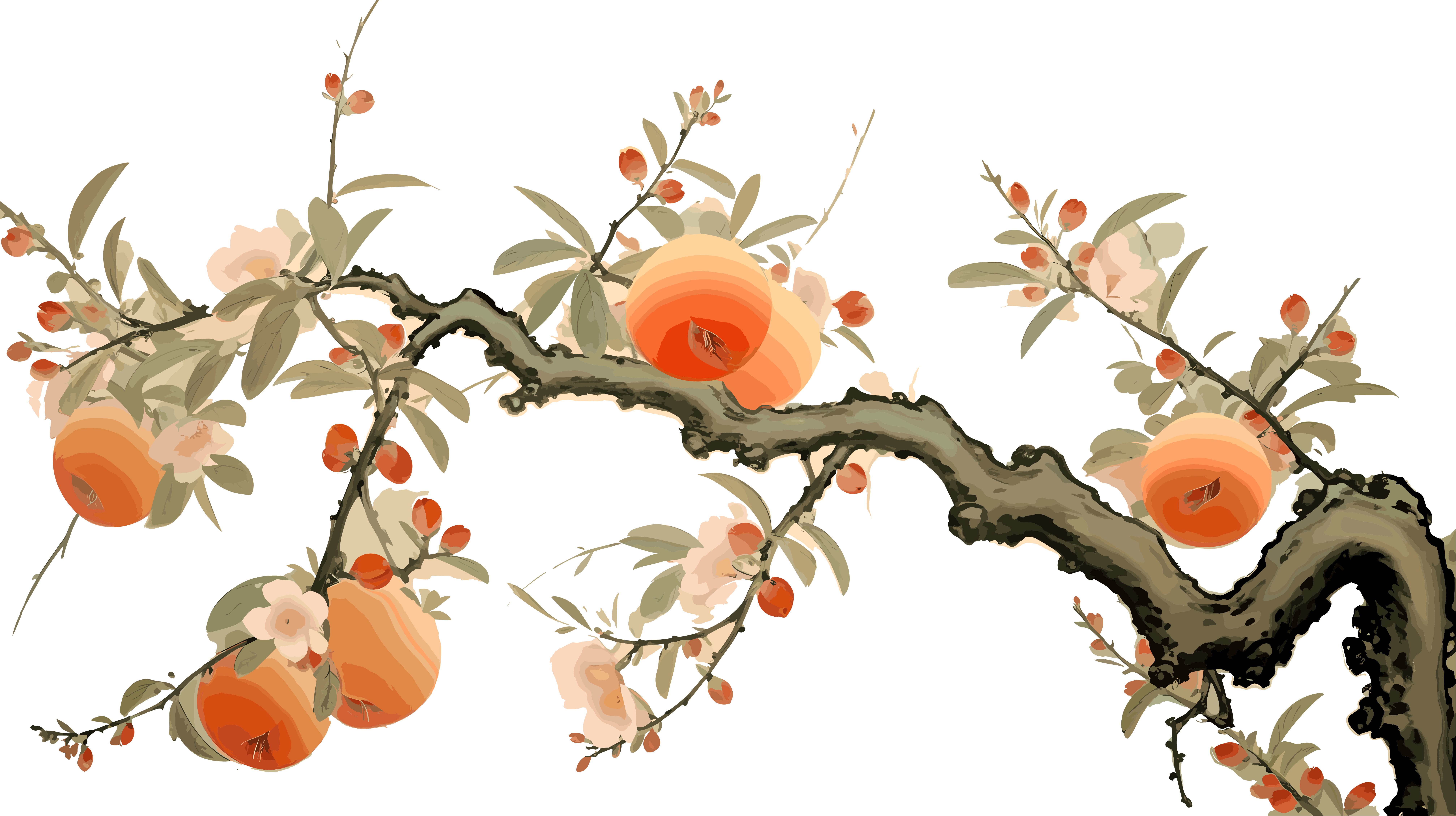 桃子高清质量素材