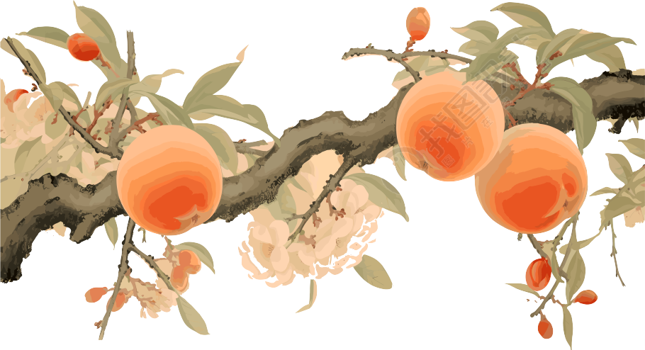 图形设计桃子素材