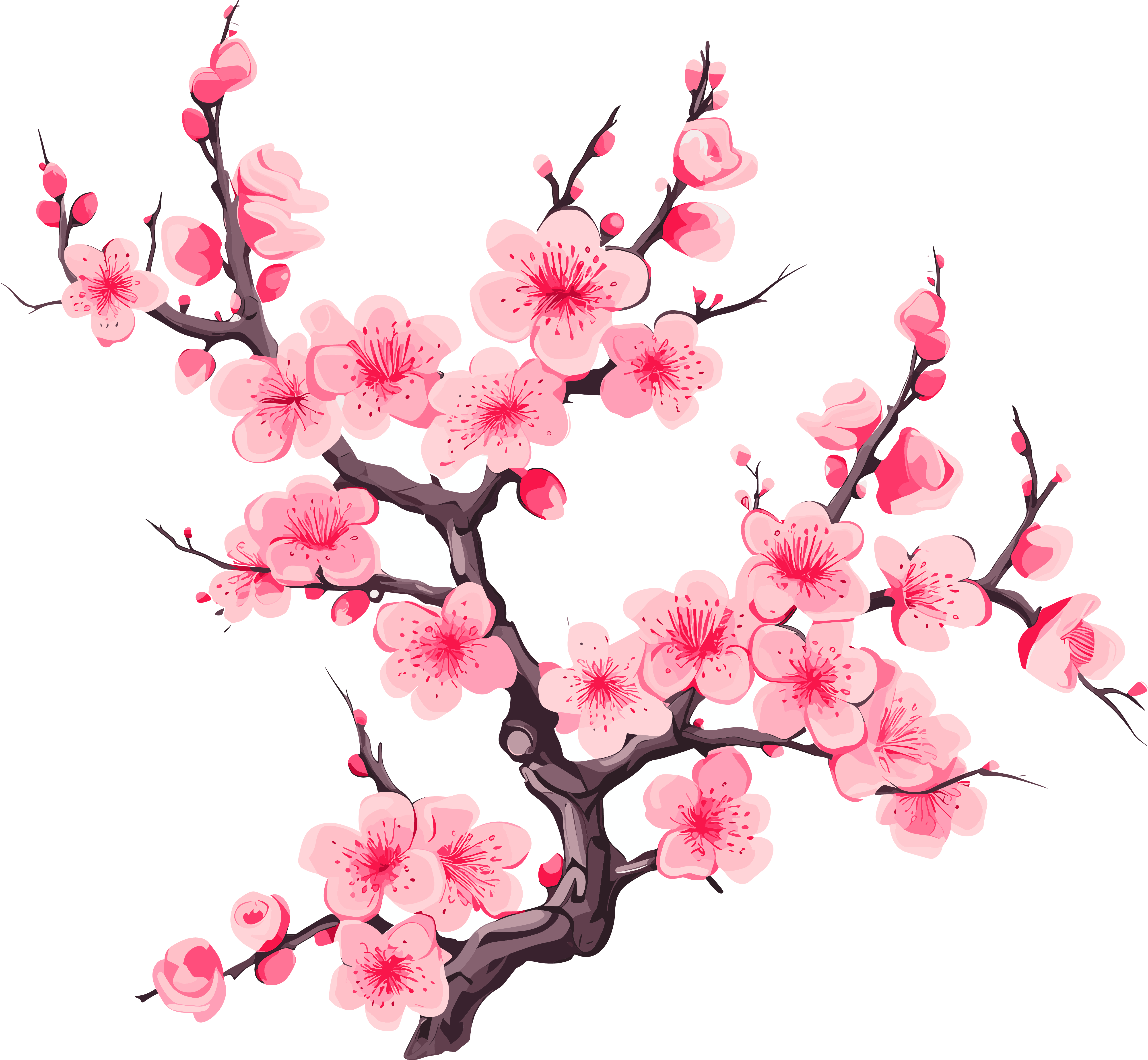 梅花插画计划